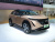 Nissan Ariya Performance
