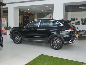 Wey Latte PHEV Large Cup 1.5T