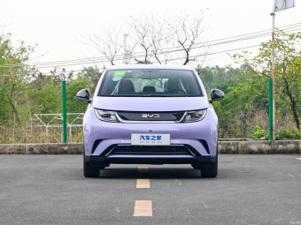 BYD Dolphin Free 420КM