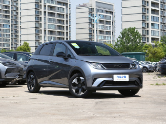 BYD Dolphin Fashion 420КM