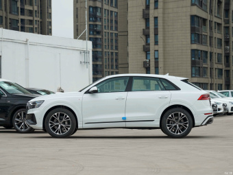 Audi Q8 Dynamic Luxury 55 TFSI