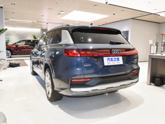 Audi Q6 Row - Feather Forest 50 TFSI Quattro