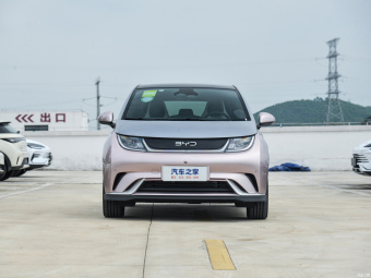 BYD Dolphin Knight 401КM