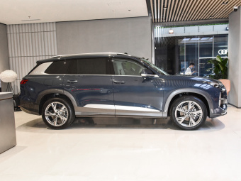Audi Q6 Row - Feather Forest 50 TFSI Quattro