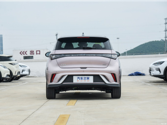 BYD Dolphin Knight 401КM