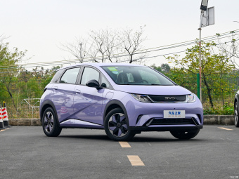BYD Dolphin Free 420КM