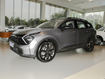 Kia Sportage Flagship 2.0T 2WD