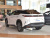 Lexus RZ 300e Travel