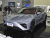 Neta S Large 650km AWD
