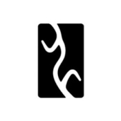 Yangwang