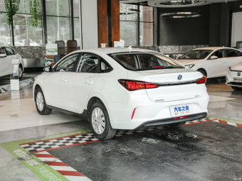 Changan Eado Smart Travel EV460 (LiFePO4)