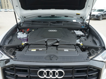 Audi Q8 Dynamic Luxury 55 TFSI