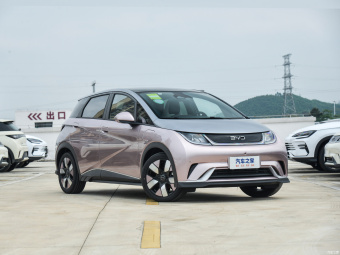 BYD Dolphin Knight 401КM