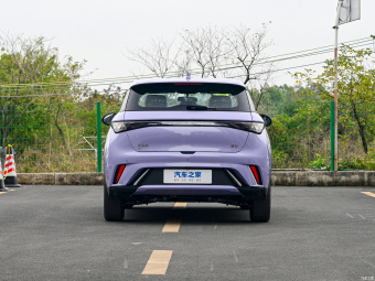 BYD Dolphin Free 420КM
