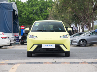 BYD Seagull Free 305KM