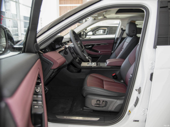 Land Rover Range Rover Evoque L R-Dynamic HSE Luxury P300e