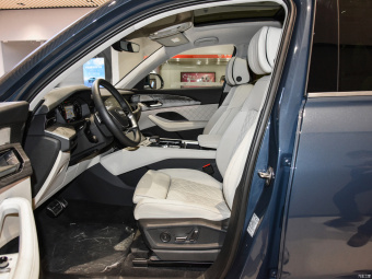 Audi Q6 Row - Feather Forest 50 TFSI Quattro