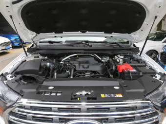 Ford Everest Elite 2.3T 5 Seats