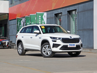 Skoda Kodiaq Premium 5 Seats TS330 2WD