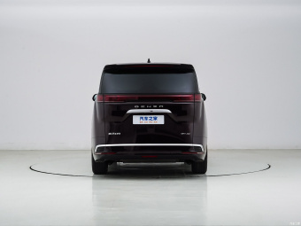 Denza D9 PIONEER Edition