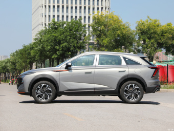Haval Shenshou Up 1.5T DHT