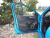 Ford Focus Hatch S Edition EcoBoost 180