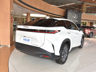 Lexus RZ 300e Travel