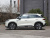 BYD Yuan UP Beyond 401KM