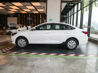 Changan Eado Wisdom EV460 (LiFePO4)
