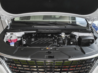 Kia Carnival Deluxe Exclusive 2.0T