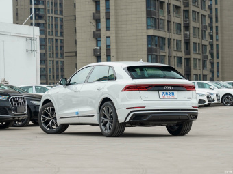 Audi Q8 Dynamic Luxury 55 TFSI