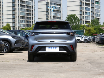 BYD Dolphin Fashion 420КM