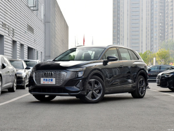 Audi Q5 e-tron Shiny Brocade 40 e-tron