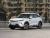 BYD Yuan UP Leading 401KM