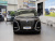Denza D9 Flagship EV 600