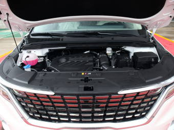 Kia Carnival Deluxe Technology 2.0T