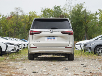 Buick GL8 ES Exclusive