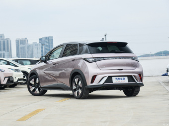 BYD Dolphin Knight 401КM