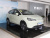 Neta V Trend 400 Lite