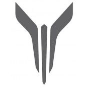 Voyah