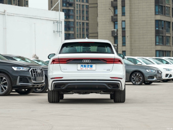 Audi Q8 Dynamic Luxury 55 TFSI