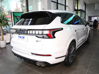 Lynk & Co 09 EM-P 2023 2.0TD EM-P 4WD Asian Touring Executive Edition 5-seater