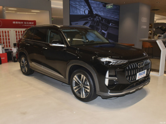 Audi Q6 Qi - Feather Forest 45 TFSI Quattro