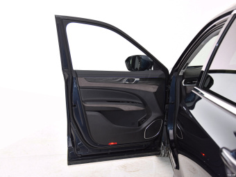 Ford Equator Honor Plus EcoBoost 225 7 Seat (2/2/3)