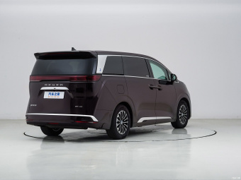 Denza D9 PIONEER Edition