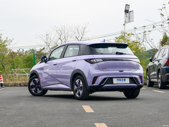 BYD Dolphin Free 420КM