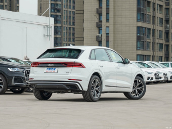 Audi Q8 Dynamic Luxury 55 TFSI