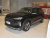 Audi Q6 Qi - Feather Forest 45 TFSI Quattro