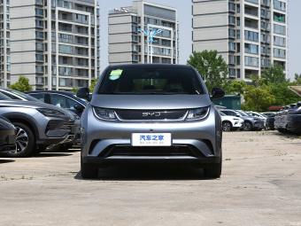 BYD Dolphin Fashion 420КM