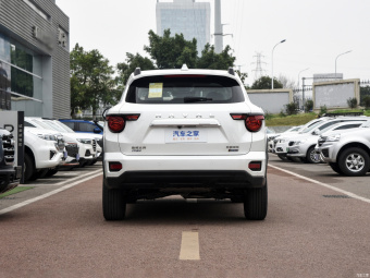Haval Big Dog Tide Plus DHT 105KM